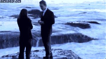 Proposal GIF - Find & Share on GIPHY