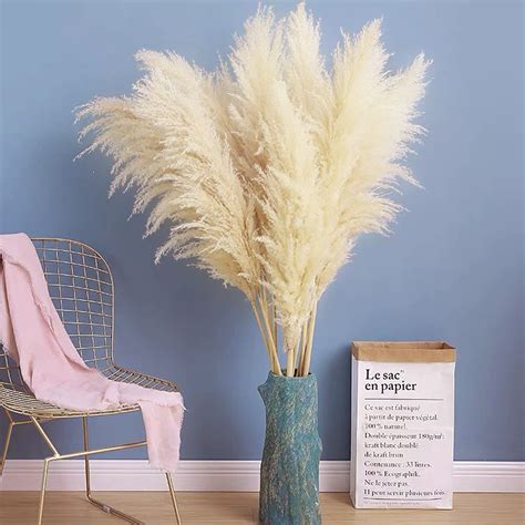 Buy Pampas Grass Stems Natural Dried Pampas Grass Pampas Grass