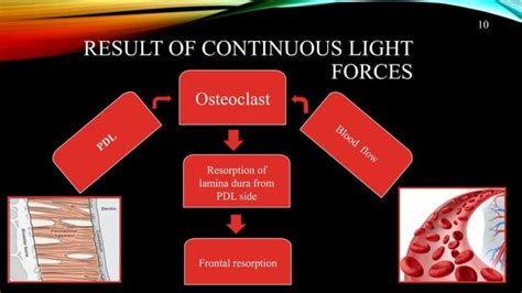Effects Of Drugs On Orthodontic Treatment Ppt