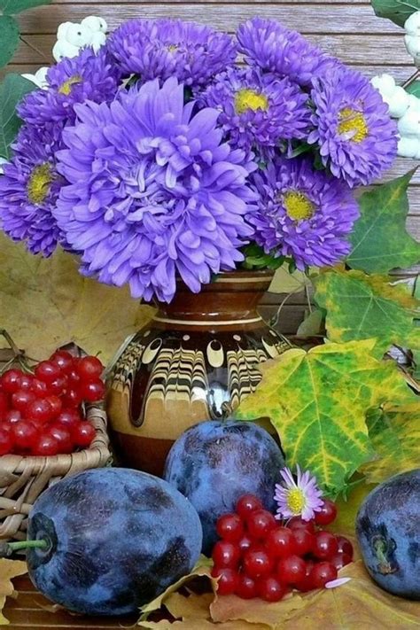 Открытки Цветы