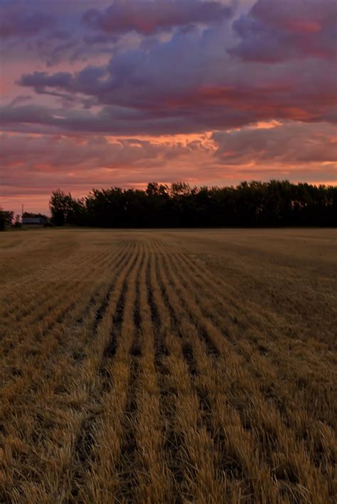 Stunning Alberta Sunsets | Hecktic Travels