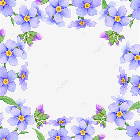 Forget Me Not Hd Transparent, Watercolor Purple Forget Me Not Flower ...