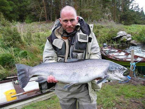 Salmon And Sea Trout