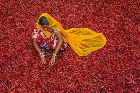 Red Hot Chilli Pepper Beat The Chills With Some Of The Country S Fiercest