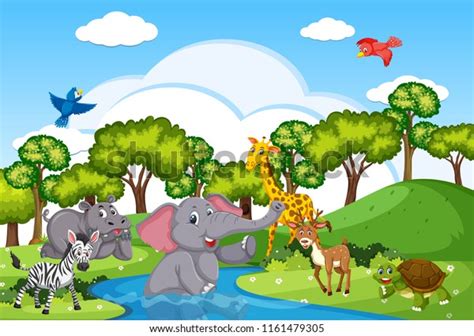 1,119,551 Lake Water Animals Images, Stock Photos & Vectors | Shutterstock