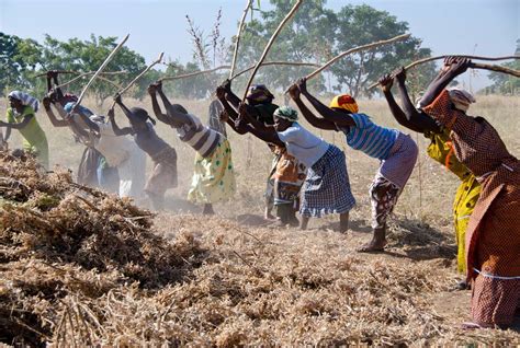 Vers Lautonomisation Des Femmes En Milieu Rural En Afrique Willagri