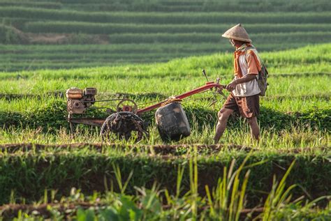 Mudahkan Petani Kini Tebus Pupuk Subsidi Dapat Menggunakan KTP