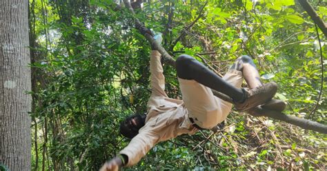 Pistage Des Chimpanz S Dans Le Parc National De Gombe Getyourguide