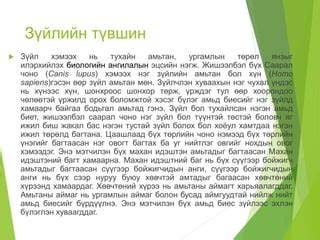 амьд биеийн бүтэц зохион байгуулалтын түвшин | PPT