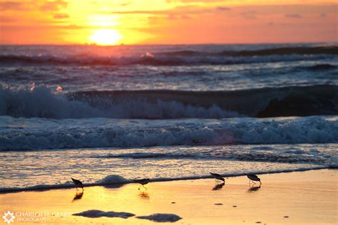 Corolla, NC: Outer Banks, part 2 – Charlotte Geary | Northern Virginia commercial and portrait ...