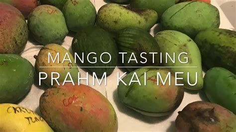 Brahm Kai Meu Thai Mango Tasting Florida Grown Mangos Youtube