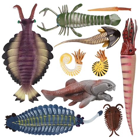 Buy Toymany 10pcs Cambrian Sea Creature Animal Figurines Plastic