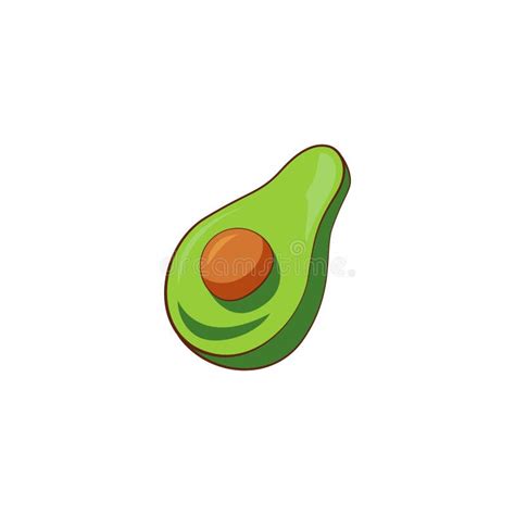 Avocado Vector Illustration Isolated On White Healthy Food