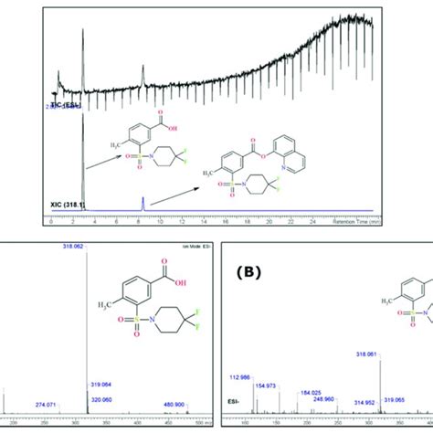 Uhplc Esi Qtof Ms Tic And Esi Ms Spectra Of The Identified