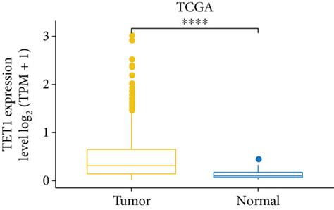 Tet1 Expression Was Associated With Hcc Progression And Survival Ac