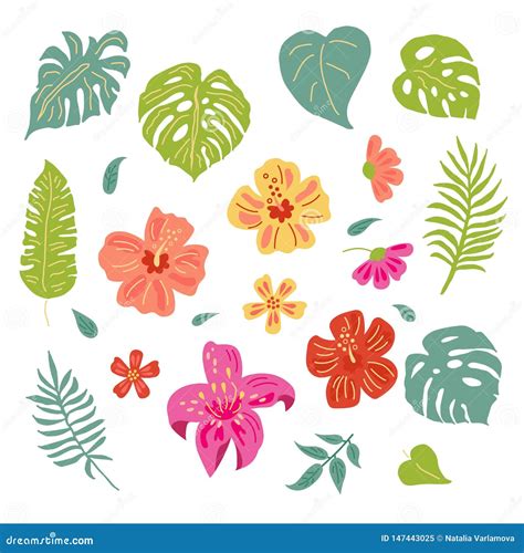 Folhas Tropicais E Flores Ajustadas Ilustra O Stock Ilustra O De