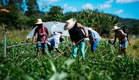 Alimentos orgânicos saudáveis ou balela