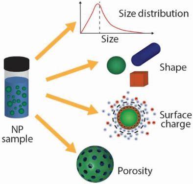 Nanoparticle Characterization What To Measure Modena 2019