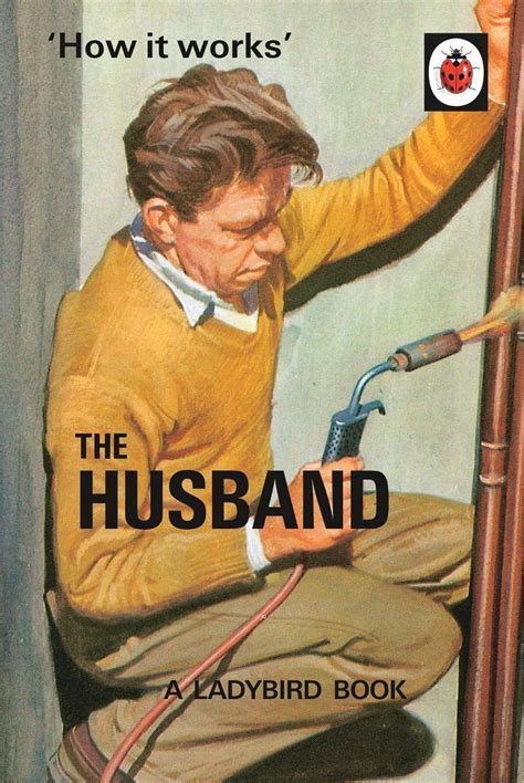 How It Works The Husband Ladybird Books For Grown Ups Ladybirds For