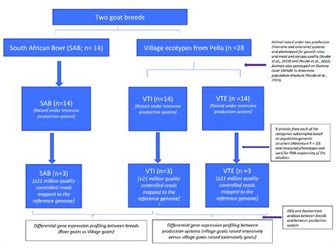 Experimental Framework Download Scientific Diagram