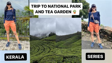 Eravikulam National Park Tea Garden Munnar Vlog Kerala Series Youtube