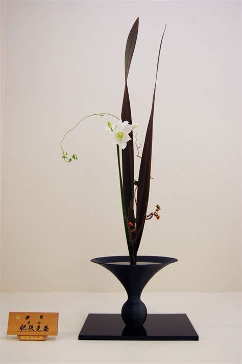 Ikebana Ikenobo, Shoka style | Ikebana flower arrangement, Ikebana ...