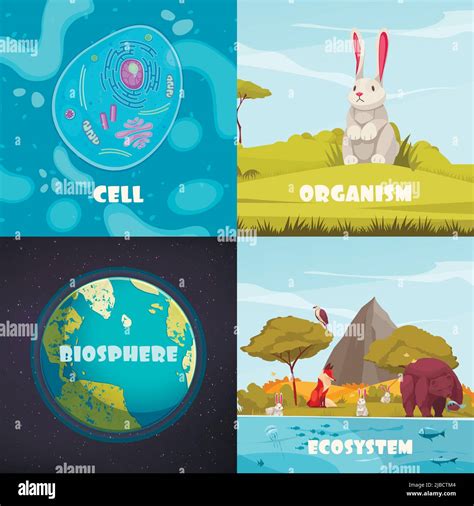 Biological hierarchy 2x2 cartoon compositions of cell organism ecosystem and biosphere vector ...