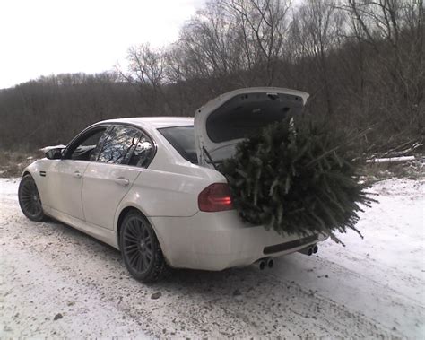 Blitzen Christmas Tree Delivery Service Page 2 Bmw M5 Forum And M6 Forums