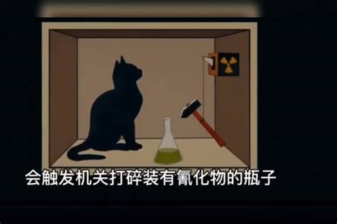 著名得薛定谔得猫，到底讲了什么？为何如此神秘？带你了解薛定谔什么