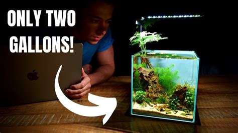 I Made A MINI DESK AQUARIUM Without A Filter Aquascape Tutorial