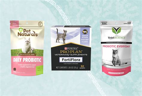 The 12 Best Probiotics For Cats