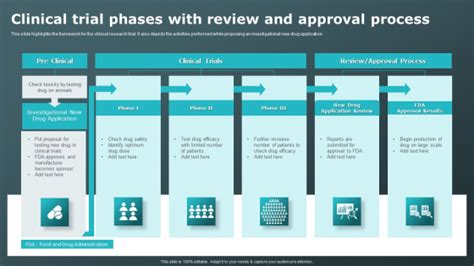 Clinical Trial Phases With Review And Approval Process Clinical