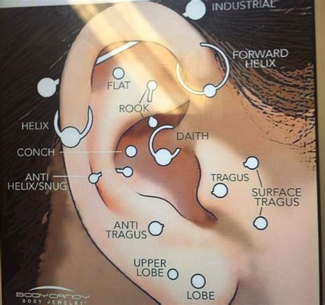 Types Of Piercings For Ears Pierced