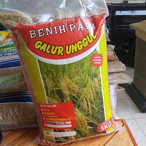 Jual Benih Padi Galur Unggul Sri Kemuning Srikemuning Lokal Kemasan