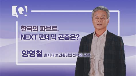 더 큐 매일경제tv Tv 프로그램