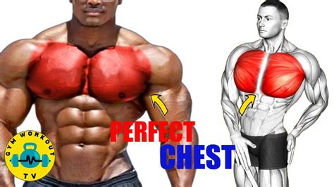 6 Perfect Chest Exercises Fastest Chest Workout At Gym Youtube