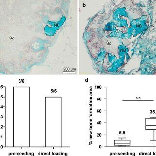 Comparison Of In Vivo Bone Formation After Ectopic Implantation Of 3