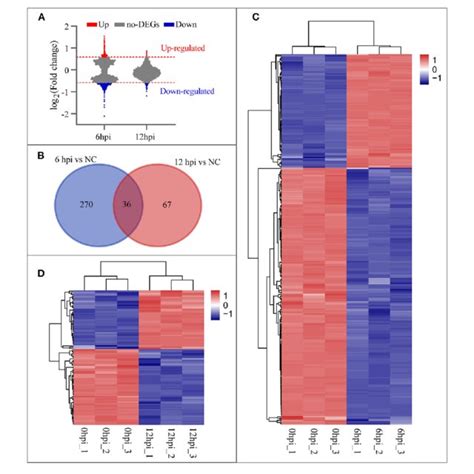 Cellular Responses To B Pseudomallei Infection Analysis Gene Download Scientific Diagram