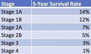 Stage 4 Pancreatic Cancer Odds Of Survival - CancerWalls