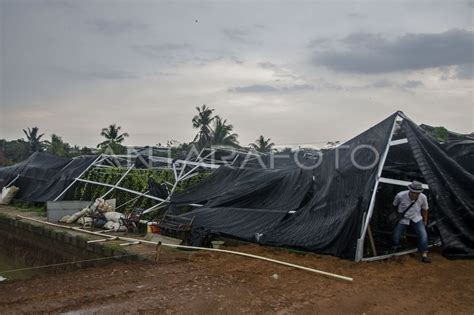 DAMPAK ANGIN PUTING BELIUNG ANTARA Foto