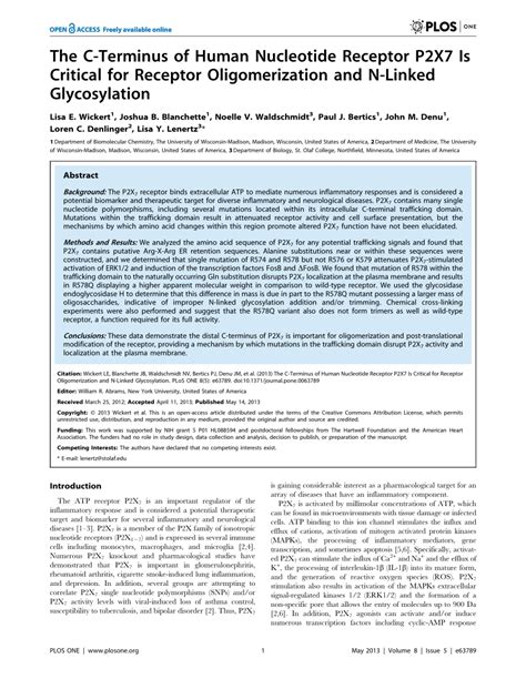 Pdf The C Terminus Of Human Nucleotide Receptor P2x7 Is Critical For