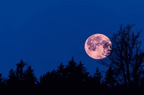 Luna Llena Rosa a qué hora sale y dónde se podrá ver el fenómeno más