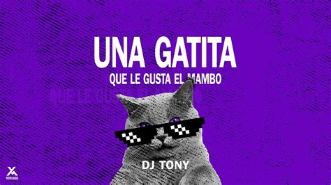 Una GATITA Que Le Gusta El MAMBO DJ Tony Acordes Chordify