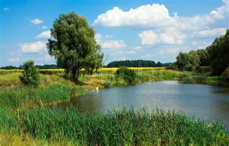 Countryside landscape with little lake ... | Stock image | Colourbox