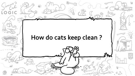 Simon's Cat Logic: How Do Cats Stay So Clean? - Life With Cats