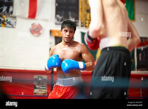 Two Boxers Sparring In Boxing Ring Stock Photo Alamy