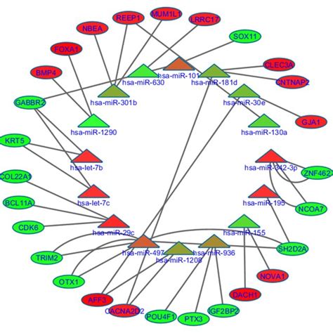 A Schematic Workflow Diagram Of The Integrative Analysis Of Mrna And