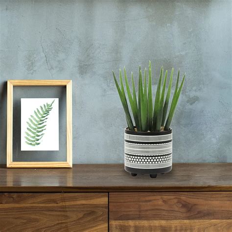 Briful Planta De Cactus Artificial Realista Mini Suculentas