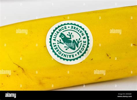 Fairtrade Banana Label Sticker Fruit Hi Res Stock Photography And