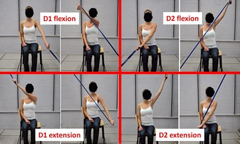 Ejercicios Correctivos Preventivos Para La Cintura Escapular Parte 1